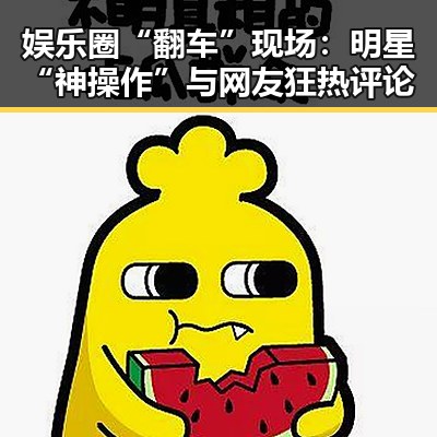 娱乐圈“翻车”现场：明星“神操作”与网友狂热评论